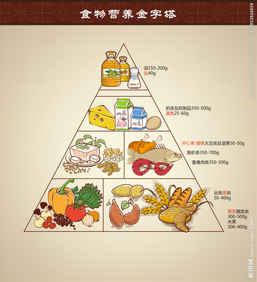 手绘食物营养金子塔图片